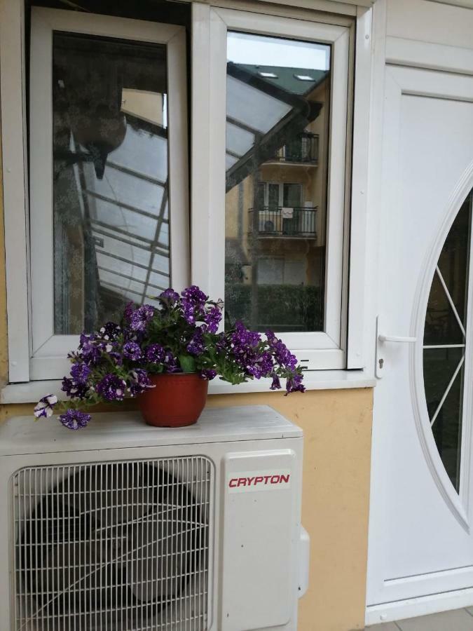 Apartman "Garden" Нови Сад Екстериор снимка