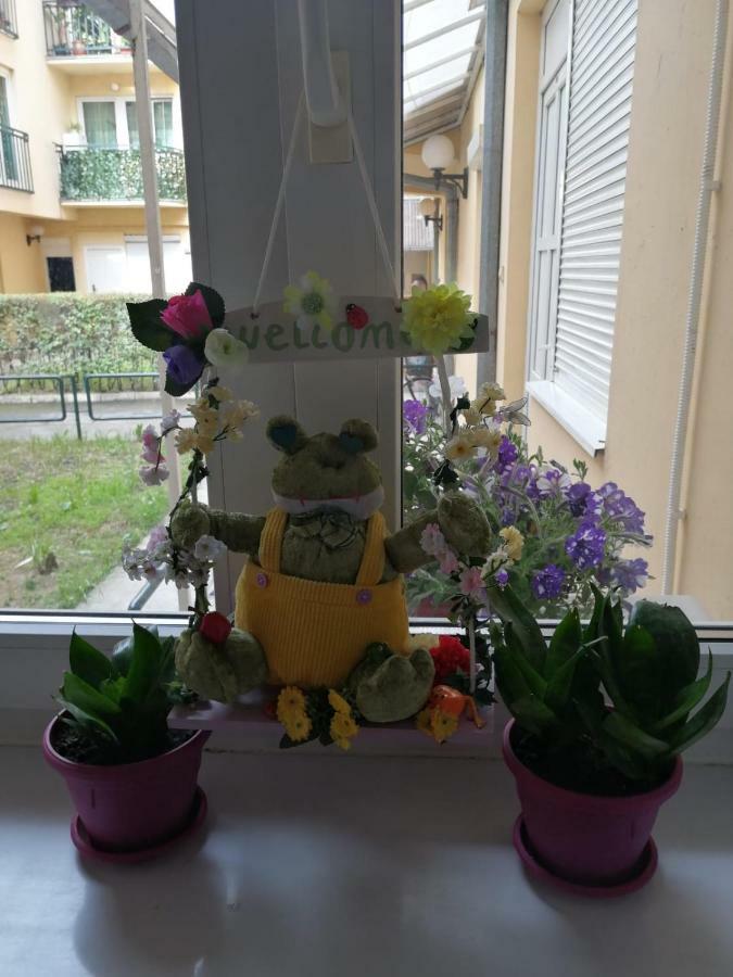 Apartman "Garden" Нови Сад Екстериор снимка